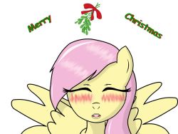 ask-confident-fluttershy:   Shy: T-this is the tradition is it not? I-I’ve never done this before.  I hope I do it right.  o: