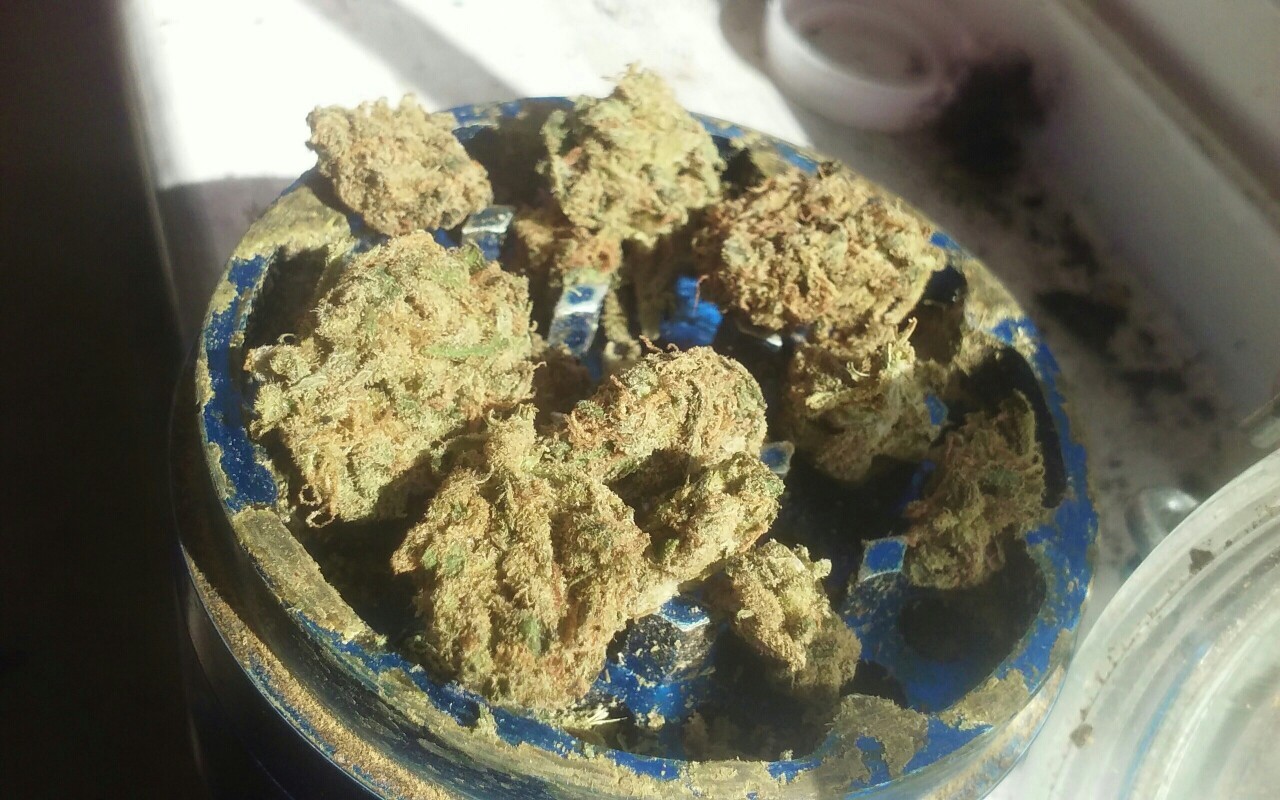 stoner-vogue:  Grinding up the last of it. Bittersweet.