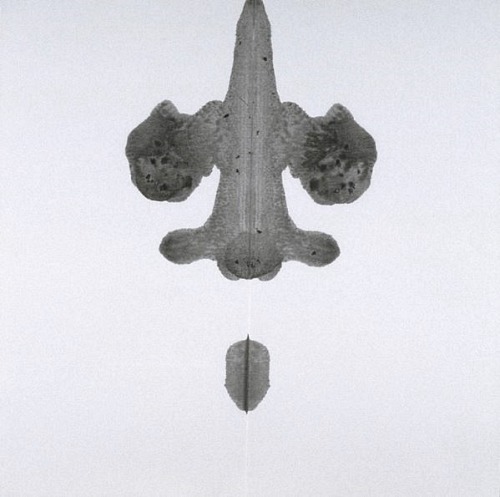 miss-catastrofes-naturales:  Cornelia Parker  Pornographic Drawing Series (1996) 