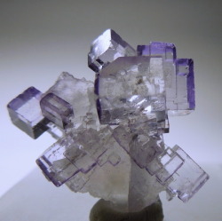 mineralists:Very cool specimen of Fluorite!Tule