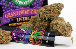Always High, Never Dry