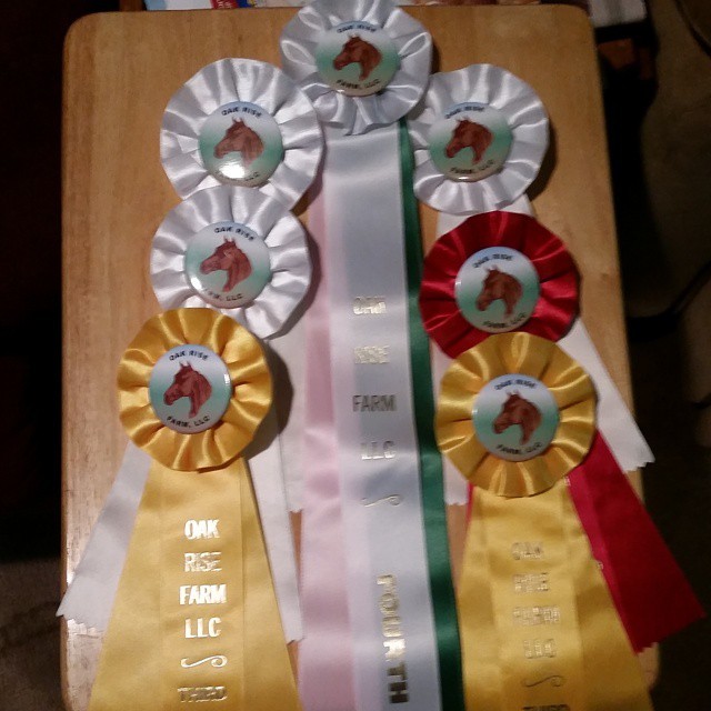 Today&rsquo;s awards! 1 second, 2 third, 3 fourth, and fourth place for walk-trot