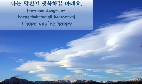 [Learn Korean] 나는 당신이 행복하길 바래요. =I hope you&rsquo;re happy