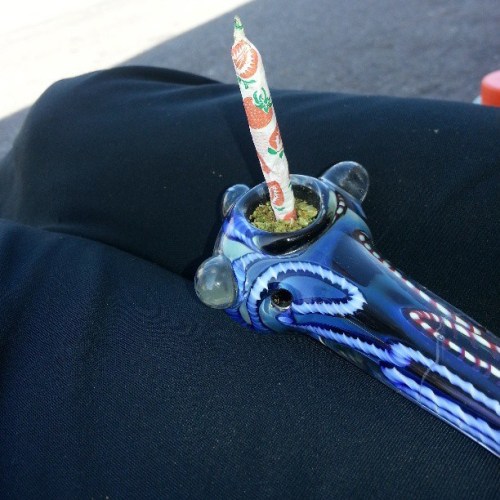 theneedyforweedy:stoner life adult photos