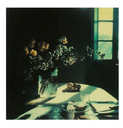 russian-style: Polaroids taken by Andrei Tarkovsky in 1970s  Director Andrei Tarkovsky was a great a