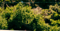 Chadleymacgufferson: Filmgifs: Oh, Hell Yes!To All The Boys I’ve Loved Before (2018)