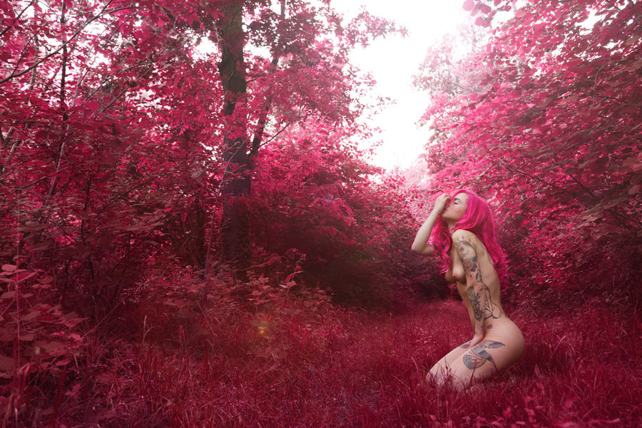 gentlekama:  Wood’s Honey by saraelbesh 