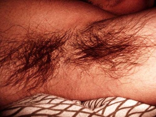 daviddickdude:  Smell Those Pits Davids Tumblr