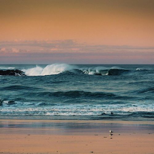 tigersurfshop: 這種浪 Photo by Nick Lavecchia