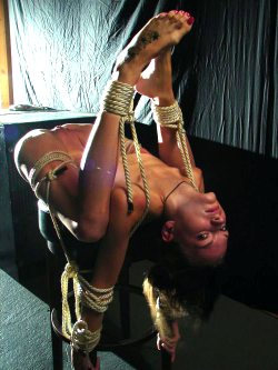 Shibari Dreams with Knotty Minds