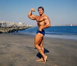 steadymirin:  mitos:  Arnold Schwarzenegger