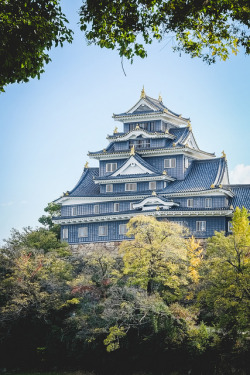 mizunokisu:  岡山。岡山市。岡山城