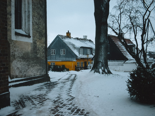 carpe-noctvm:Snowy November 2015 / Roskilde, Denmark