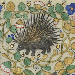 discardingimages: angry porcupine Hours of Margaret of Orléans, Rennes 1426 BnF, Latin 1156B, fol. 176r 