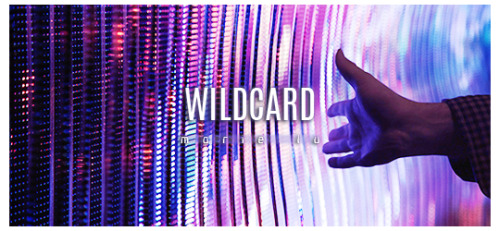kadygrants:BOOKS READ IN 2021 ➙ warcross + wildcard by marie lueverything’s science fiction until so