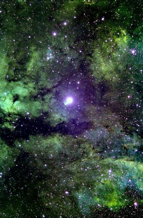 Diffuse emission nebula IC 1318 surrounding star Sadr or Gamma Cygni