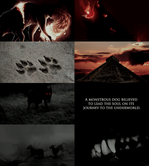 ibuzoo: A - Z Myth Aesthetics X - Xolotl