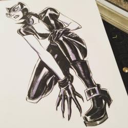 mindyleedoodles: #catwoman commish for #aclu