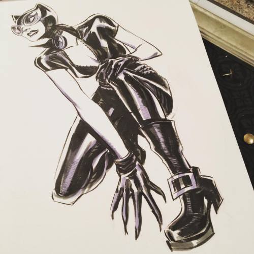 mindyleedoodles: #catwoman commish for #aclu #plannedparenthood #nodapl