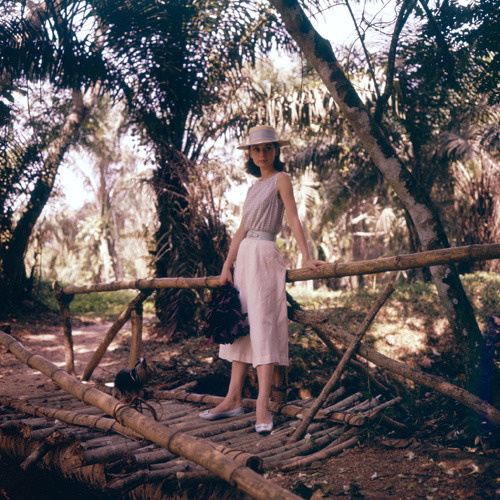 missingaudrey:  Audrey Hepburn by Leo Fuchs, 1958 