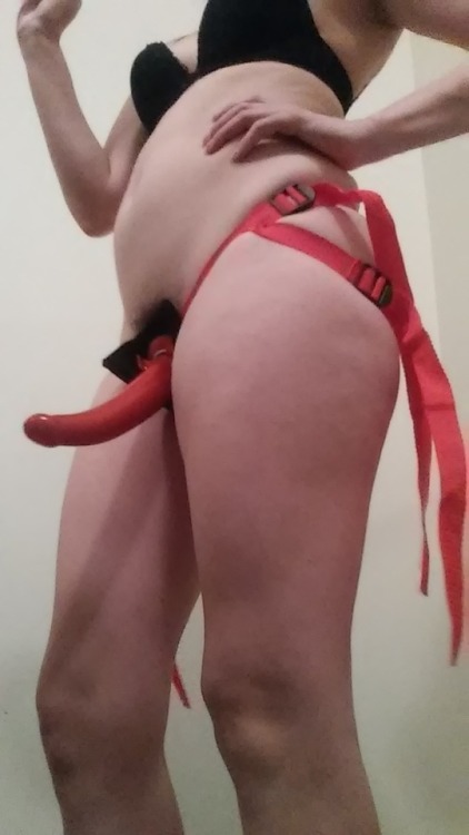 saucy-noods: I put on my harness