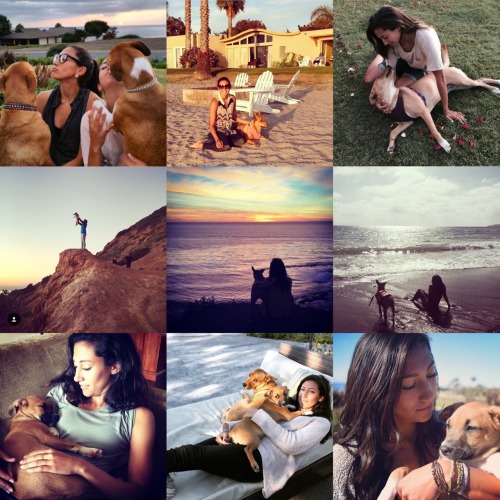 skatertobin:Is Christen Press a dog person?
