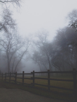 foxmouth:  Fog, 2013 | by Dan Otis 