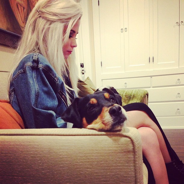 alluringdaisies:  rosy-heights:  rosetica:  rosy ♡   Rosy blog, need new blogs