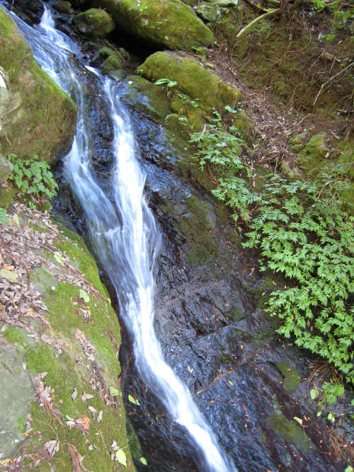 権現山（ごんげんやま、Mt.Gongen）標高565m、越前市（旧今立町）20110911柳の滝ハイキングコース案内板お釜滝案内板お釜滝