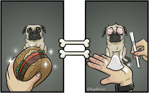 wet-nightmare:tastefullyoffensive:What Everything Looks Like to Dogs by Robert Brown for College HumorHAHAHAHA