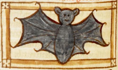 take-me-to-your-lieder: toloveviceforitself: sam-u-ella: dimetrodone: Medieval bat appreciation post