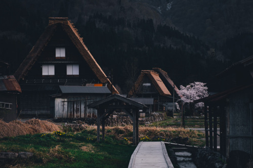 takashiyasui: Shirakawago in spring