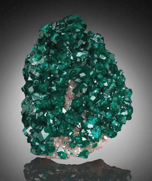 Porn photo bijoux-et-mineraux:  Dioptase - Tsumeb Mine,