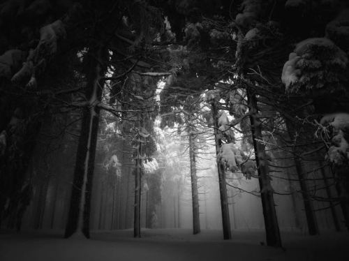 Winter Is Coming.Landscape photography by Snorri Gunnarsson, Jan Machata, and Evgeni Dinev.