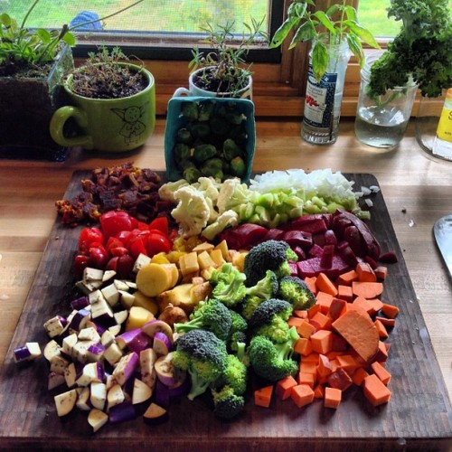 defining-me:  What are those purple and white things in the bottom left?? 
