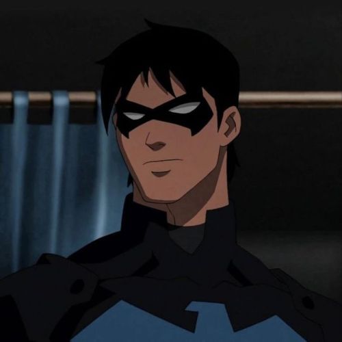 Richard John (dick) Grayson (young Justice)