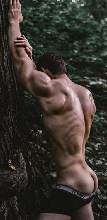 Fuerza Masculina