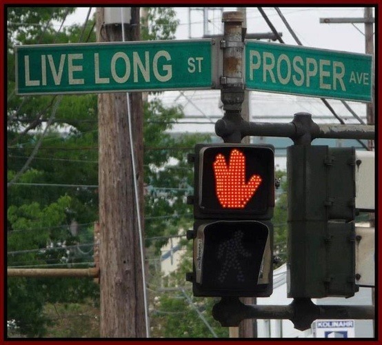 Vulcan crosswalk  :)