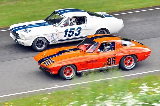 v8mayhem:  Mustang vs. Corvettewww.v8mayhem.com 