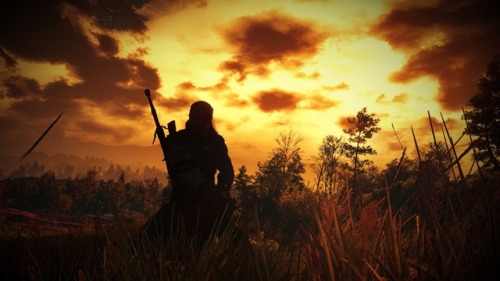 witcher photography