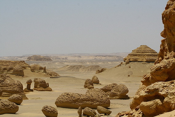 goddessoftheblackcoast:  Wadi Al-Hitan which means “Valley of the Whales” is