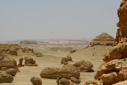 goddessoftheblackcoast:  Wadi Al-Hitan which means “Valley of the Whales” is a paleontological site in Egypt known for its hundreds of fossils of some of the earliest forms of whale