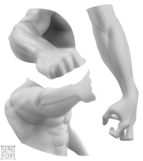 Hiyo! Some of the anatomy studies I’ve still been doing still. Haven’t been posting then online sinc