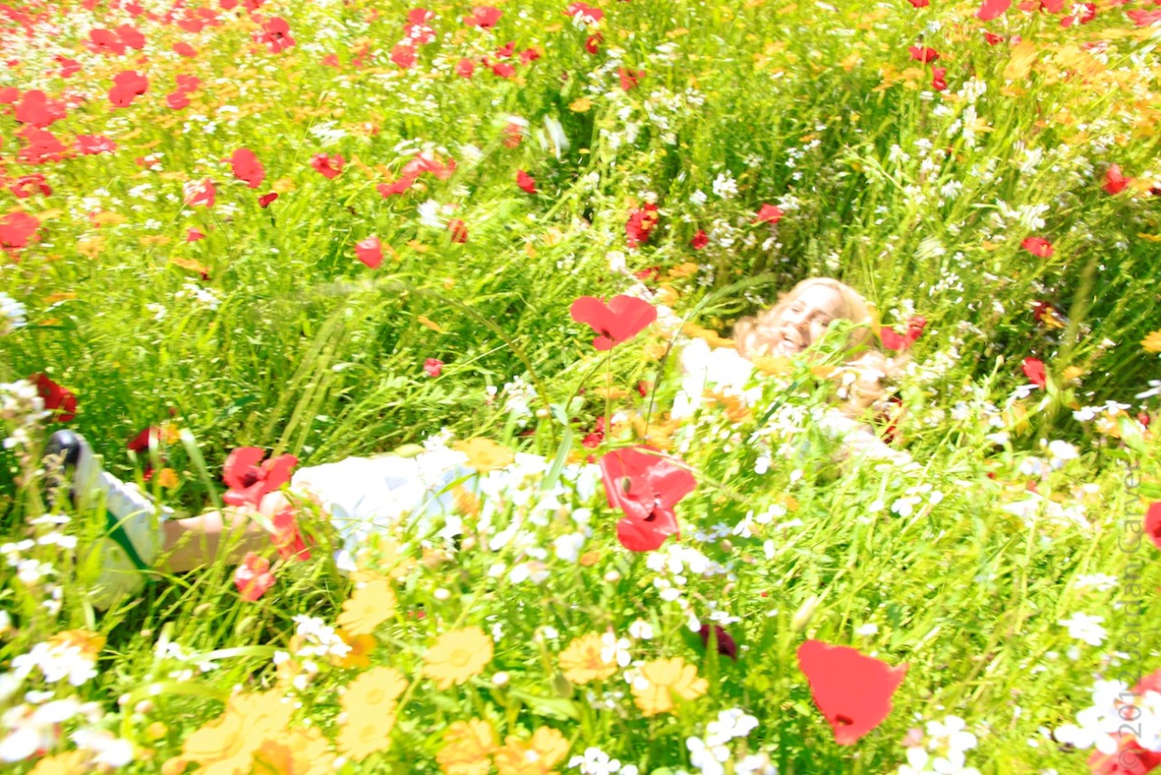 sbla7295:  Jordan CarverPoppies