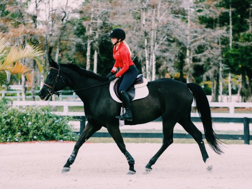 gucci-equestrian:PC: Equine Photoz