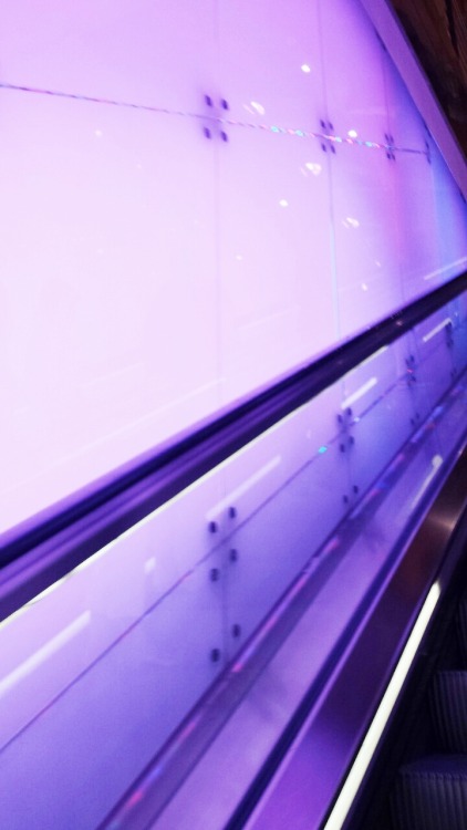 milktalk:it changed colors ❕