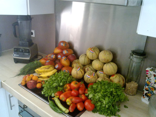 Qui a dit que ça ne servait a rien une table de cuisson pour une Crugivore™? Après le frigo, dans la