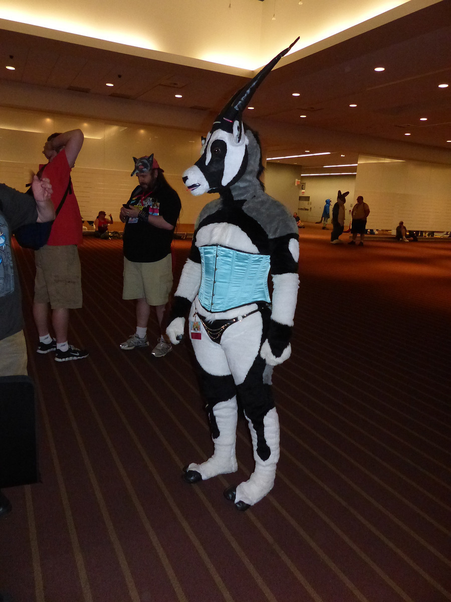 Oh yeah and there&rsquo;s that one again! Which is actually what i was browsing