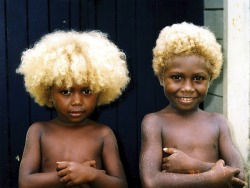 teaplusbeardspluscake:  theurbanchica:  //deconstructing the eurocentric view of blonde hair..  visit melanesia’s solomon islands {1800 kilometers northeast of australia} and you’ll notice a striking contrast: about 10% of the dark-skinned islanders
