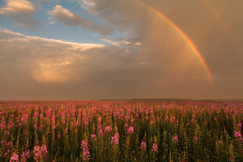 Porn expressions-of-nature:  in high Cyprus by photos